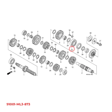 honda leje, radial kugle gearkasse, 24x56x14 (ntn) 91001-ML3-873 91001ML3873